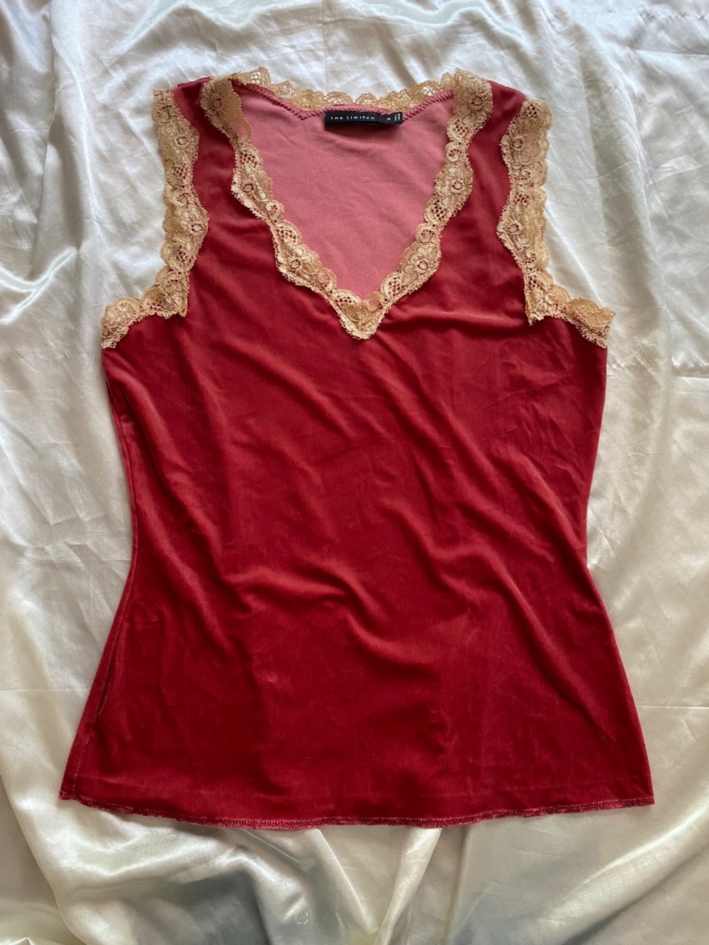Vintage y2k Dusty Pink Velvet Lace Tank Top Fairycore Boho Medium